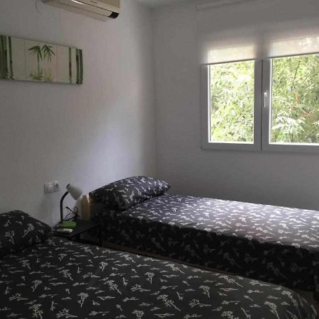 Las Mimvas Centro Excellent Castellón de la Plana Екстериор снимка